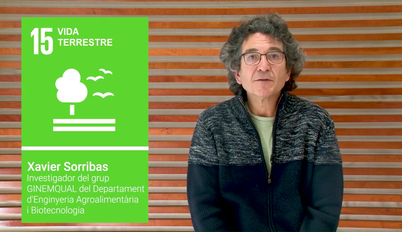 Accions UPC per a l'ODS 15: Vida d'ecosistemes terrestres, amb Xavier Sorribas